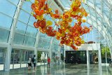 ILCE-6500-20180514-DSC02160  Chihuly Gardens And Glass The Glasshouse sculpture : 2018, Chihuly Gardens And Glass, Seattle, Settle Center