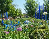 ILCE-6500-20180514-DSC02179  chihuly Gardens And Glass blue reeds and flowers with real purple flowers : 2018, Chihuly Gardens And Glass, Seattle, Settle Center