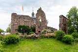 ILCE-6500-20240618-DSC07650 : 2024, Burg Hayn Castle, Dreieichenheim, Germany, _facebook