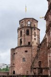 ILCE-7M4-20240619-DSC04825 : 2024, Germany, Heidelberg, Heidelberg Castle (Schloss Heidelberger)