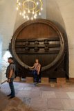 Strategic Reserves (wine)  Gigantic wine cask! : 2024, Germany, Heidelberg, Heidelberg Castle (Schloss Heidelberger), Lois, People