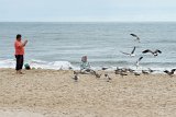 ILCE-6500-20211011-DSC07431 : 2021, Carolina Beach, NC, animals, birds, sea gull